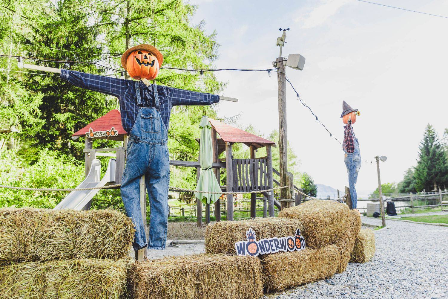 Spaventapasseri con la testa a zucca nel bosco di Wonderwood